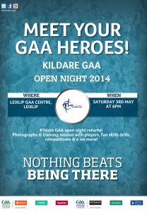 Kildare-GAA-Poster-2014